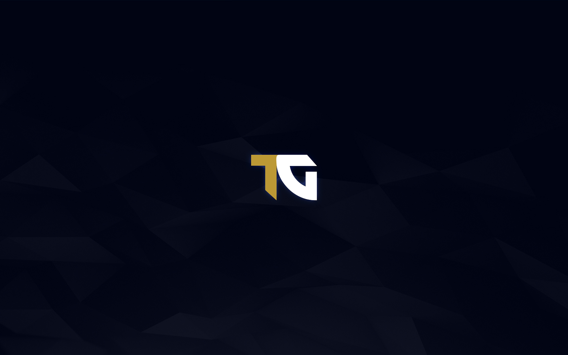 Discovery splash banner for TweakingGuys Discord server