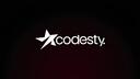 Discovery splash banner for Codesty 2.0 Discord server