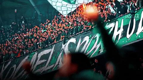 Discovery splash banner for 𝙃𝙤𝙙𝙧𝙞 𝙈𝙚𝙮𝙙𝙖𝙣 | Kocaelispor Discord server