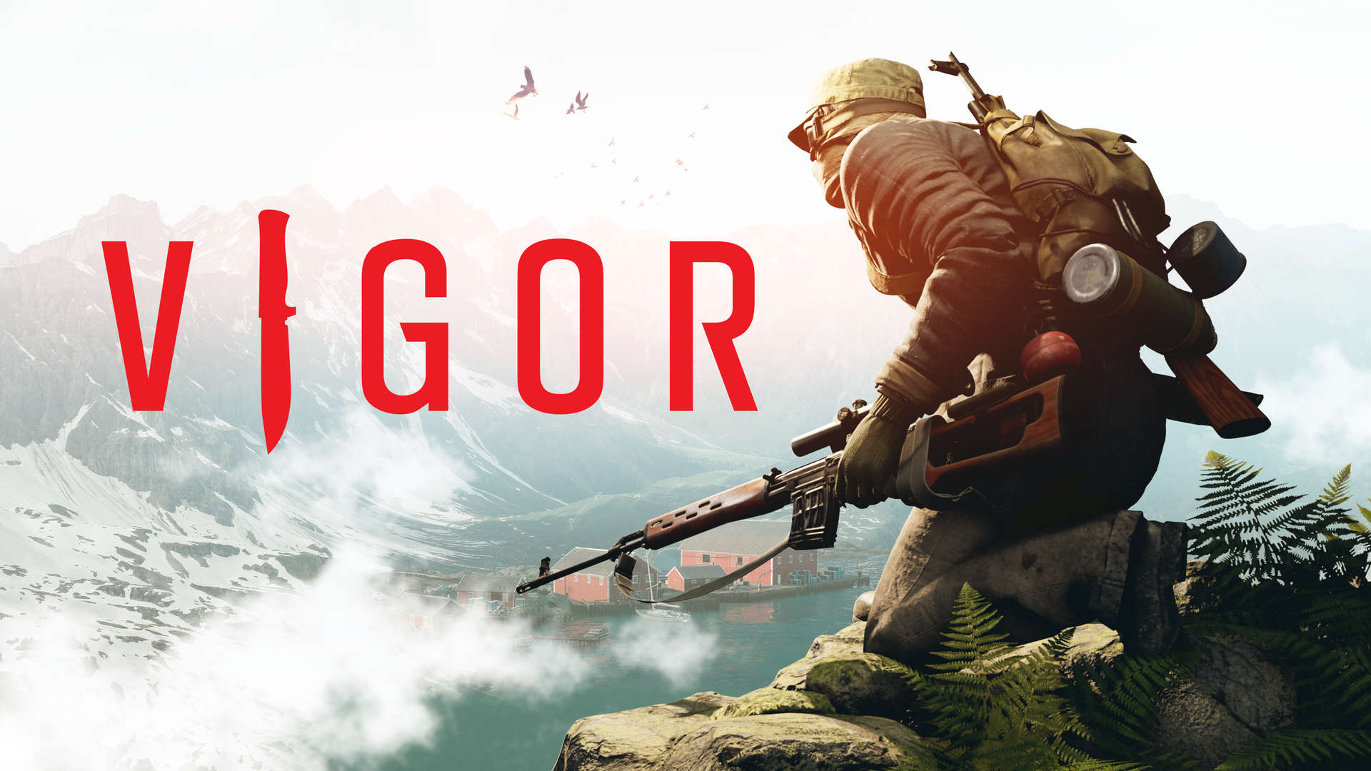 Discovery splash banner for Vigor Discord server