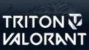 Discovery splash banner for Triton Valorant Discord server