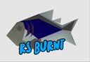 Discovery splash banner for RS Burnt Discord server