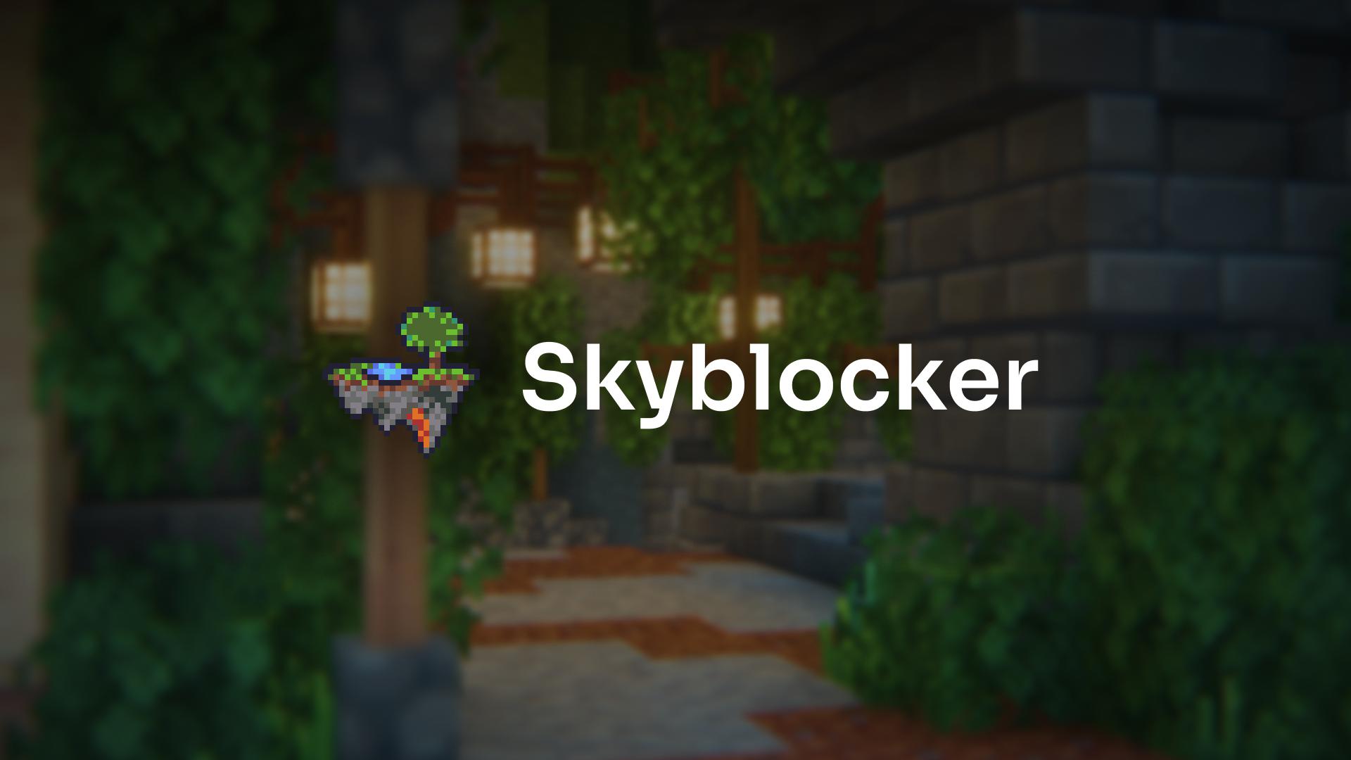 Discovery splash banner for Skyblocker Discord server