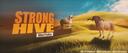 Discovery splash banner for StrongHive Discord server