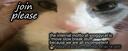 Discovery splash banner for orbiting soggy world !! Discord server