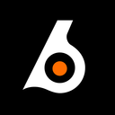 Discovery icon for Birdeye Discord server