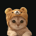 Discovery icon for Rob Shop | ร็อบ ช้อป Discord server