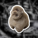 Discovery icon for ✧₊⁺ ./nexus-development/ ⁺₊✧ Discord server
