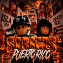 Discovery icon for 🌴🎃 | STTS Puerto Rico RP Discord server