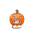 Discovery icon for Cat Community Discord server